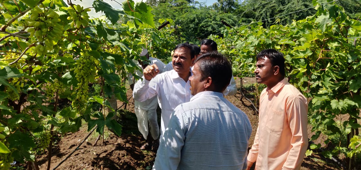 महादेव जानकरांच्या गावात प्रभाकर देशमुख, नुकसानग्रस्त शेतकऱ्यांसोबत साधला संवाद