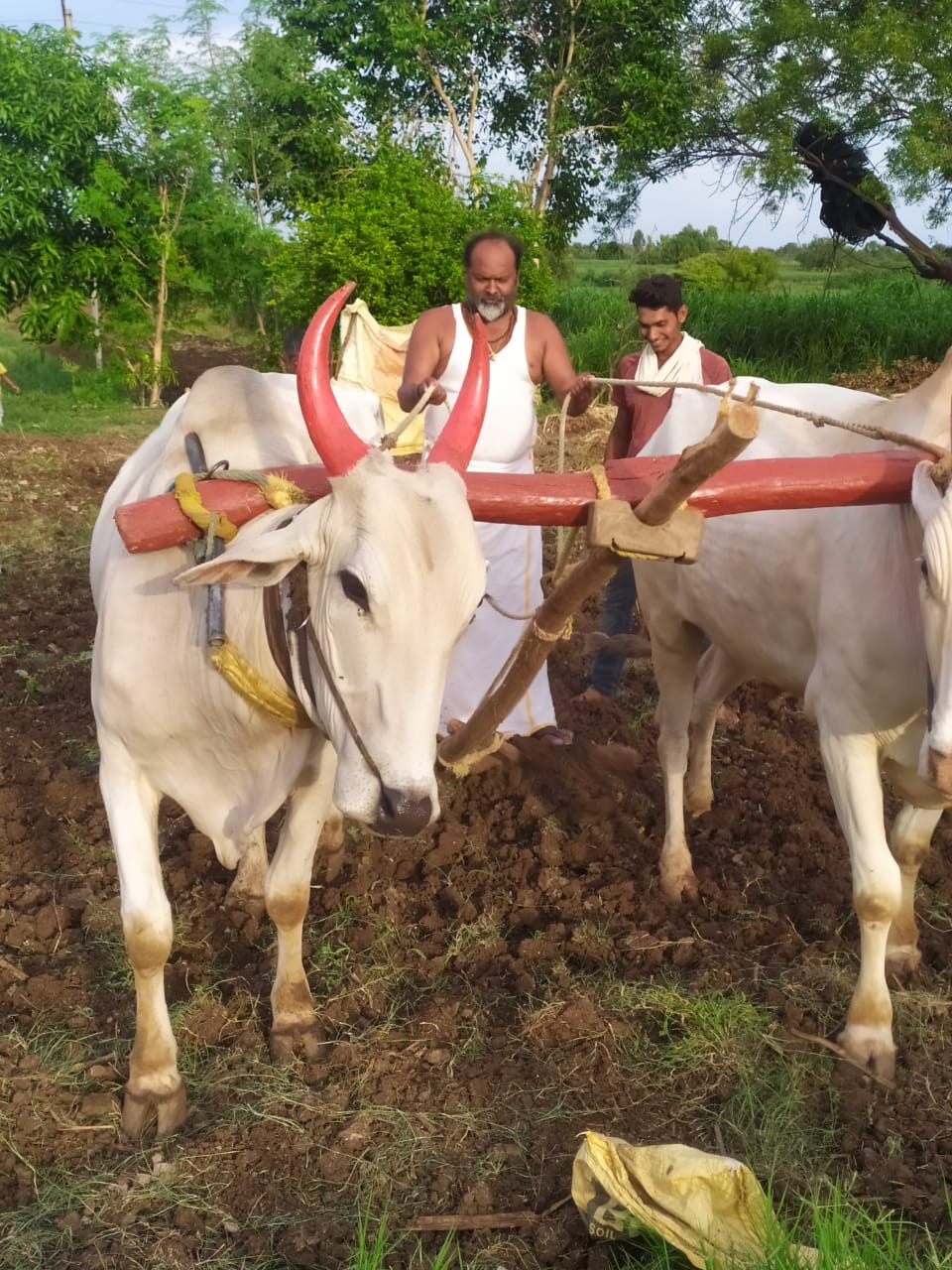 Mahadev Jankar works with Farmer
