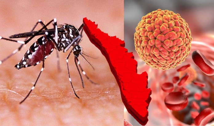 Zika virus after corona The first patient in Kerala