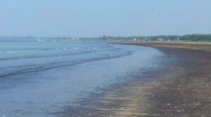 A body has been found on Vasai beach