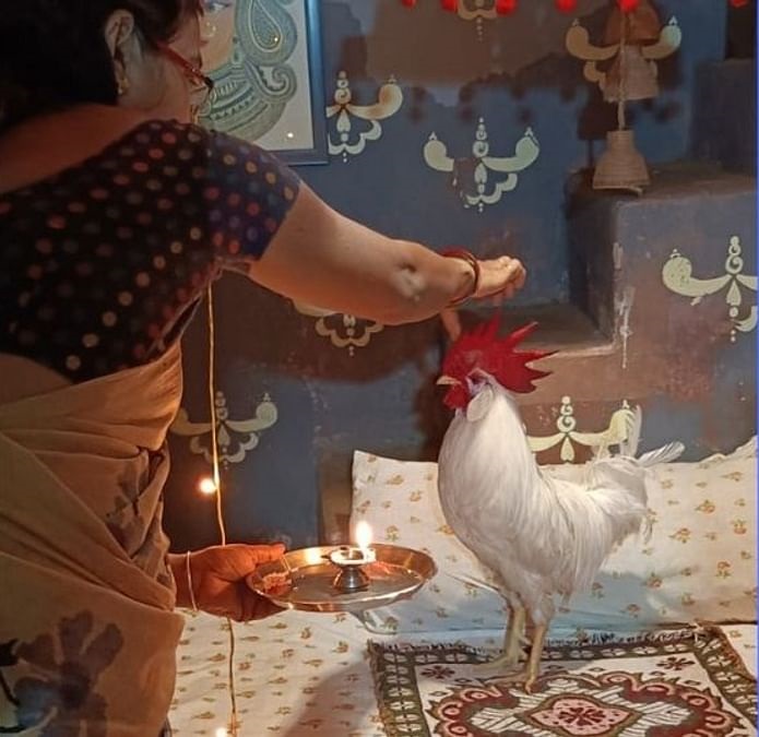 Umred a city in Nagpur family celebrated birthday of chicken