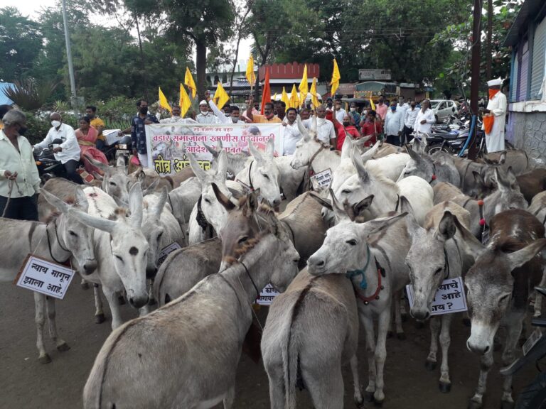 Vadar community staged a donkey march at Karad