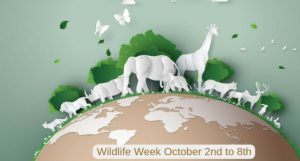 Wildlife Week