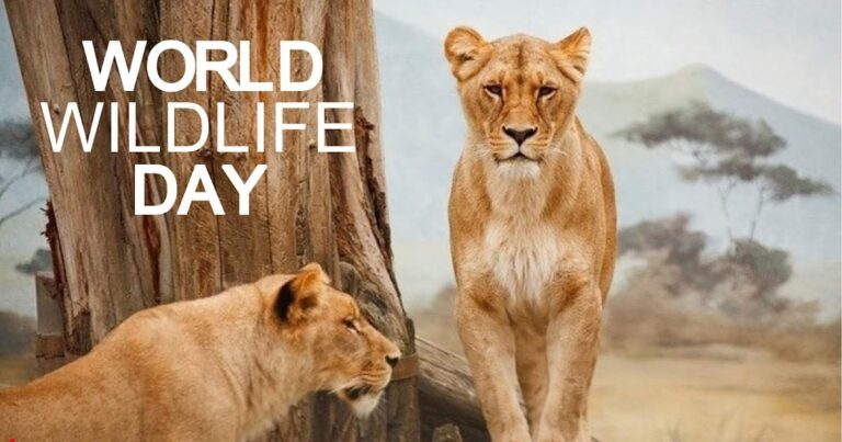 Today is World Wildlife Day