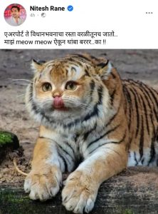 नितेश राणेंनी आदित्य ठाकरेंना डिवचले; मांजराच्या अवतारातील वाघाचा फोटो टाकून उडविली खिल्ली