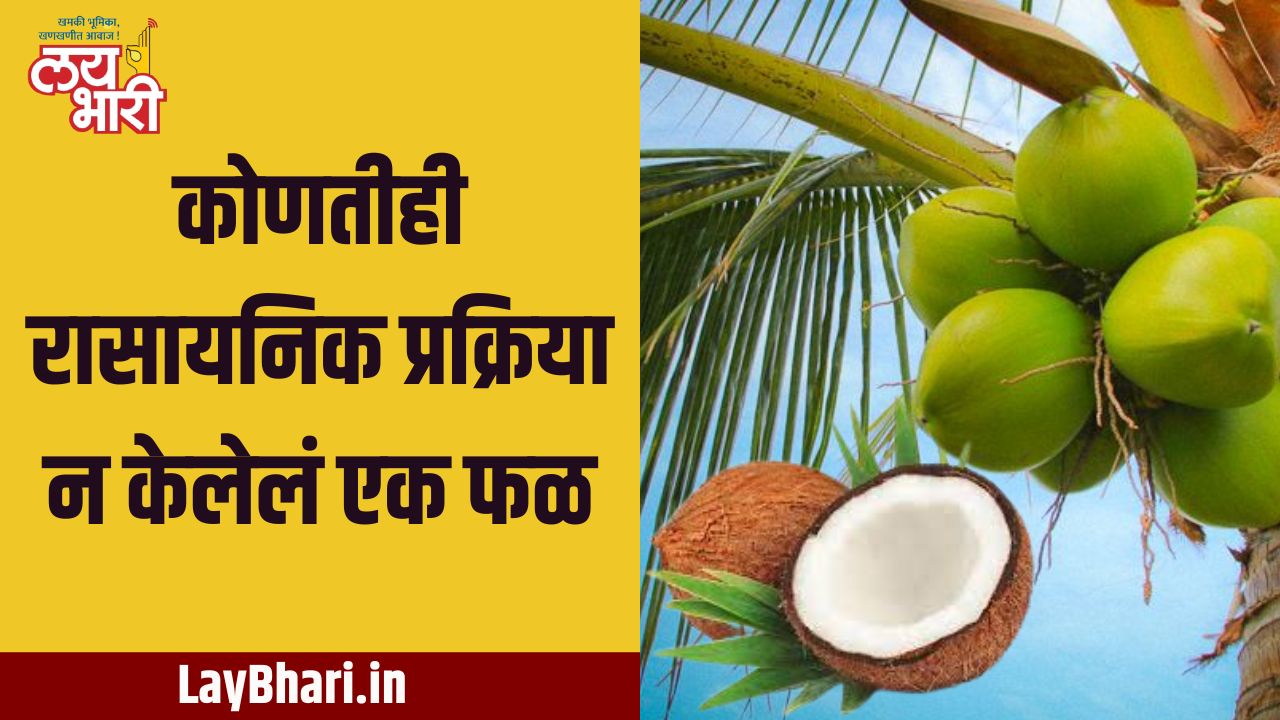 A fruit without any chemical treatment - coconut