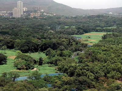 The 'Aarey Bachao' campaign has started again