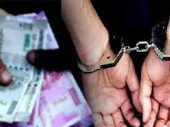 Buldana Anti-corruption Department arrested Deputy District Magistrate while taking bribe
