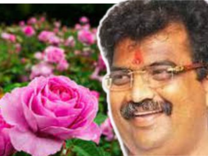 Ravindra Chavan Organized Dombivlikar Rose Festival