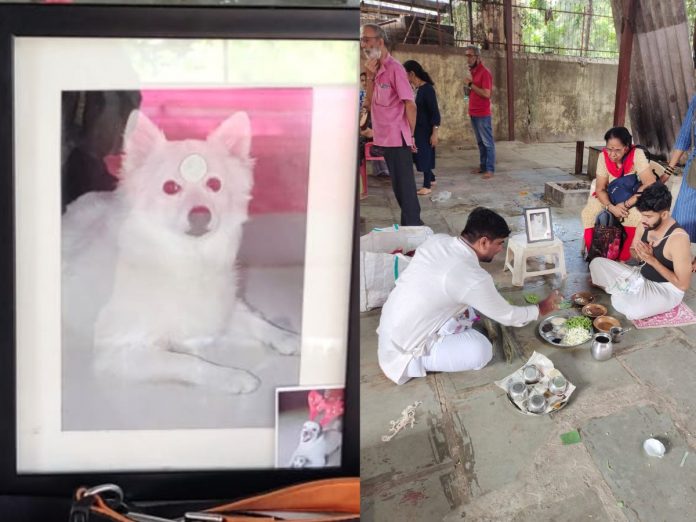 dog-loving family performed Varsh Shraadh dog in Thane city