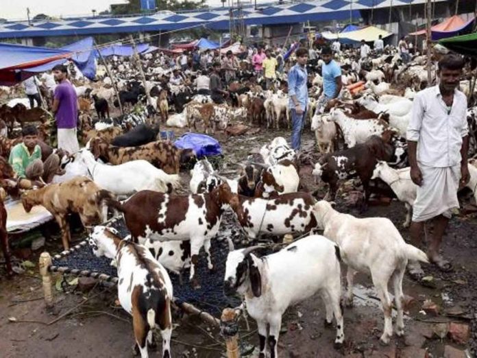 Sales of goats in Lakhs for BakriEid