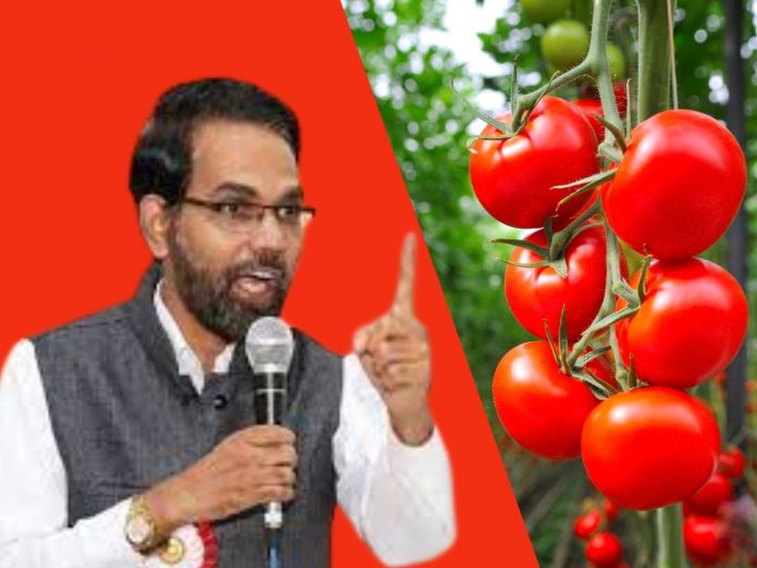 farmers are not happy with central government decision on tomato price issue