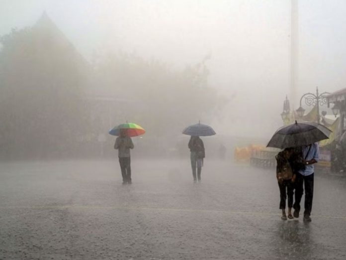 Heavy rainfall in the maharashtra; Red alert in Palghar, Pune, Satara districts along with Raigad