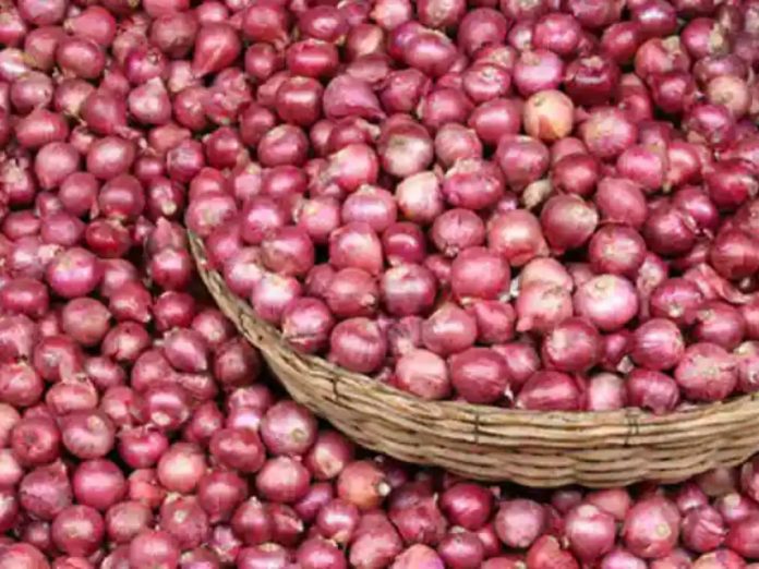 onion price increse after five months farmers got relief