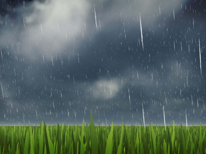 Heavy Rain across the Maharashtra State Meteorological Department Warning