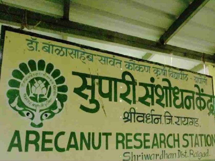 Agriculture Department to build Betel Nut Research Centre in Raigad
