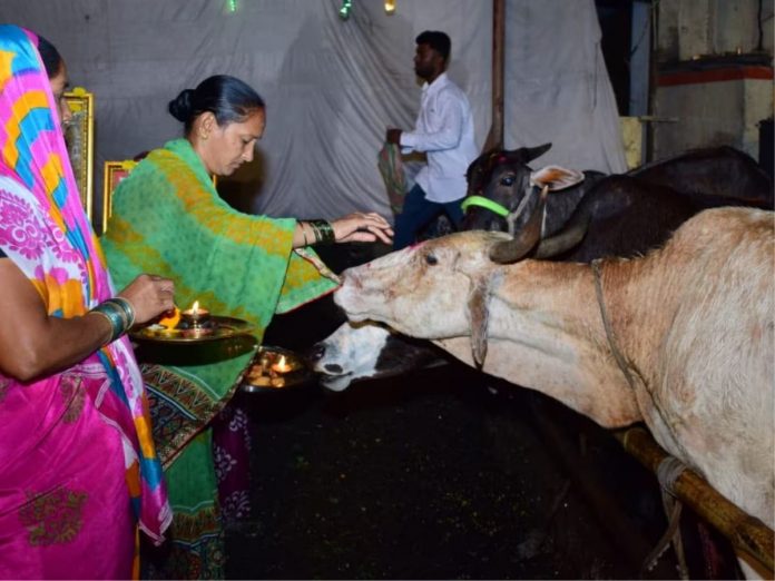 diwali vasubaras 2023 worship of cow